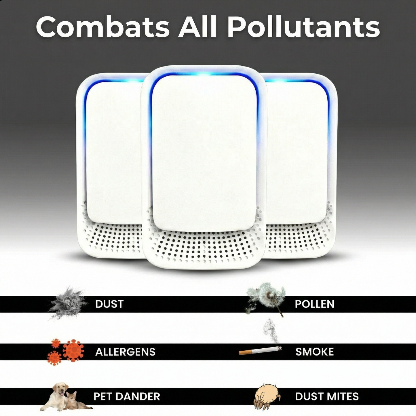 Ion Air Purifier