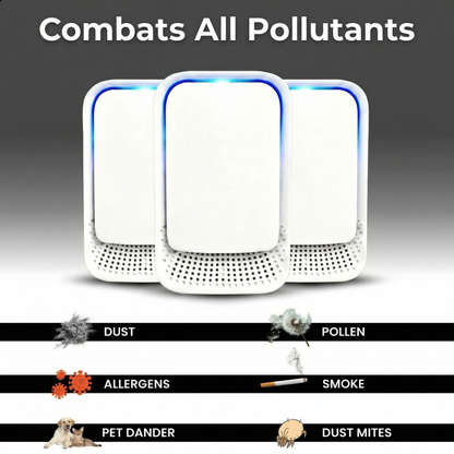 Ion Air Purifier