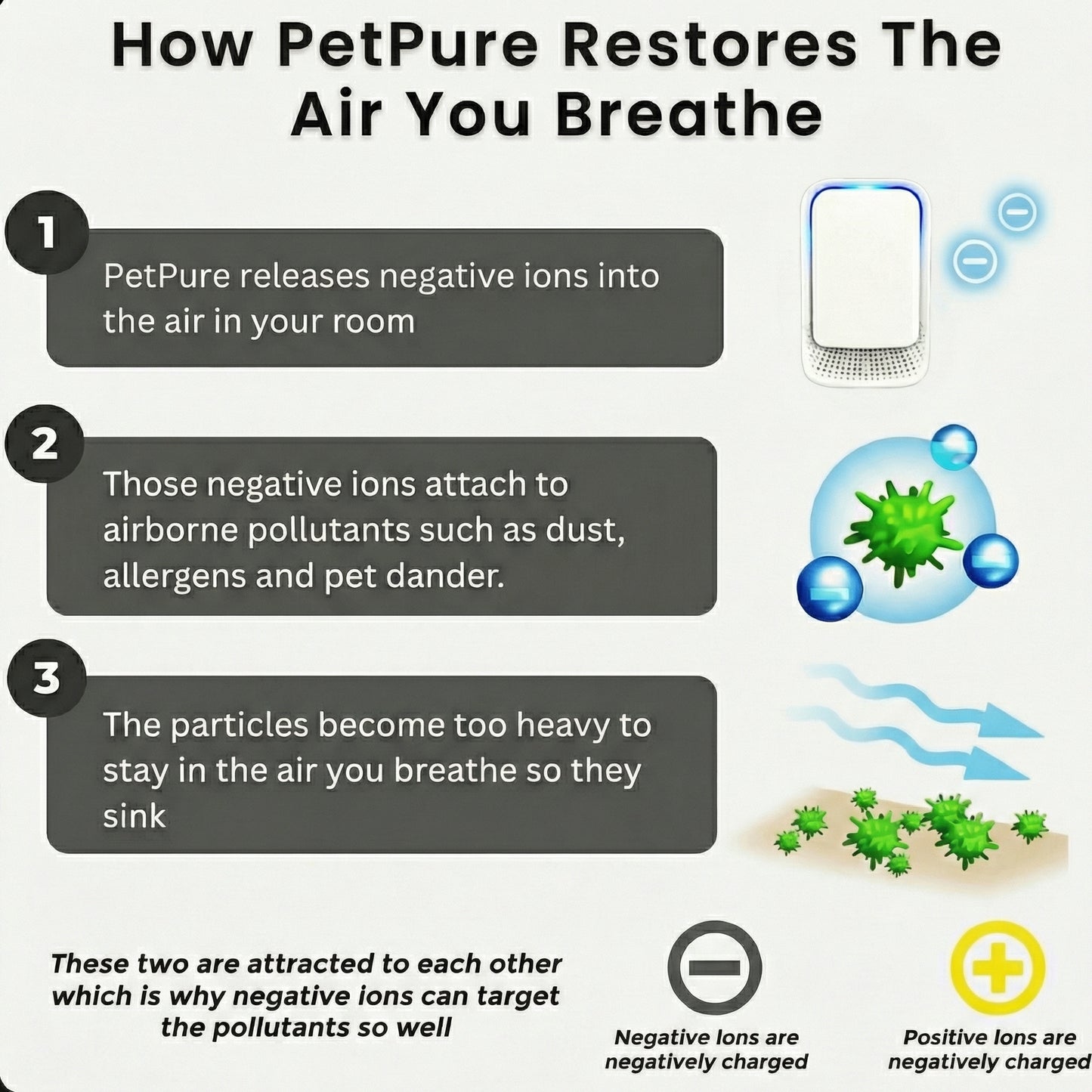 Ion Air Purifier